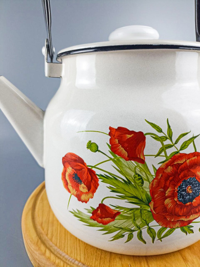 Чайник для плиты 3,5 л. (Июнь) (С-2713П2/4Жм)