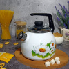 Чайник для плиты 3,0л 4с209я Ромашки лето белосн. сф. со св.