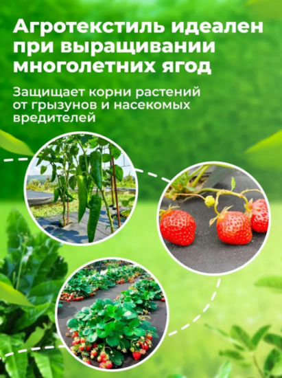 Укрывной материал 80мкм 3,2*10м черный Укрывной материал 80мкм 3,2*10м черный