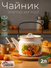 Чайник 2,0 литра (Осенний карнавал) С-2710/4ЖмРч