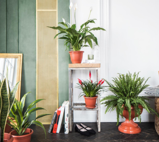 Вазон на ножке большой D 395 мм терракотовый ING1451FТР