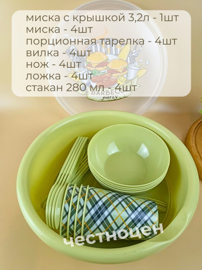 Набор для пикника с декором 25пр. на 4 персоны (салатовый) 221135520/04