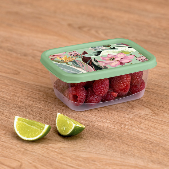 Контейнер для продуктов прямоугольный 0,5л с декором (зеленый) 222132018/08 Контейнер для продуктов прямоугольный 0,5л с декором (зеленый) 222132018/08