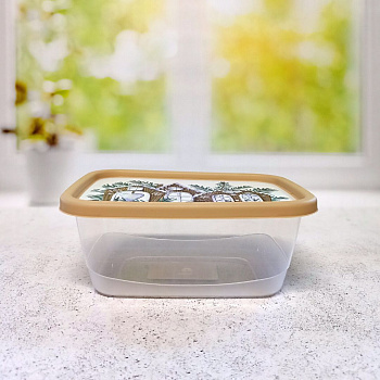 Контейнер для продуктов прямоугольный 0,85л с декором (бежевый) 222106927/03