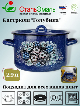 Кастрюля 2,9л 1с16с/1 син. с зерн. Голубика Кастрюля 2,9л 1с16с/1 син. с зерн. Голубика