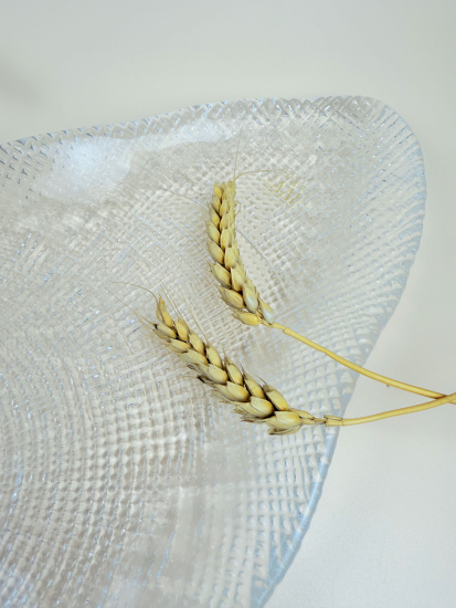 Овальное блюдо большое 53*21 см прозрачное IVV (реплика) OLS-8296.1