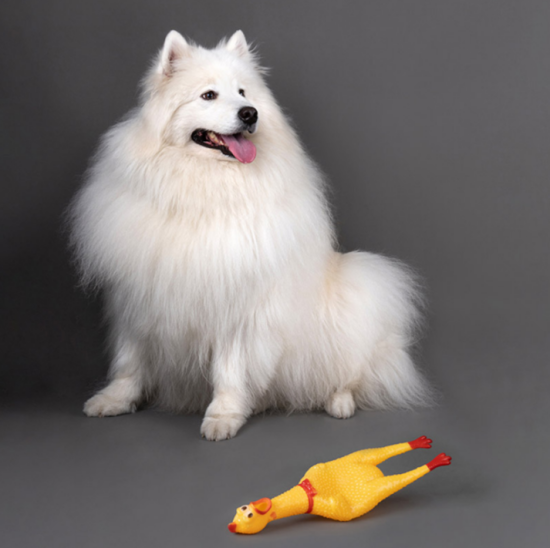 Игрушка-пищалка Курица, 30 см 104153