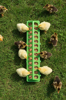 Кормушка лотковая наборная/ п/э