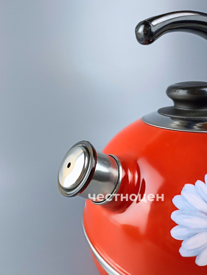 Чайник 3,5л.(конс.ручка)бордовый/ромашки(нерж. сталь) индивидуальная упаковка РT04/35/01/14 