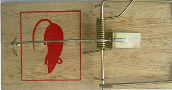 Ловушка механическая от крыс (дерево) Mr. Mouse