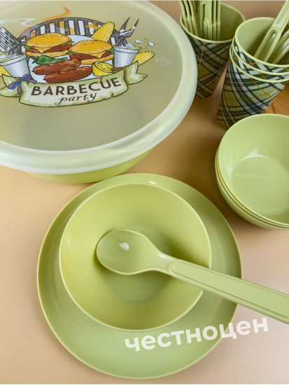 Набор для пикника с декором 25пр. на 4 персоны (салатовый) 221135520/04