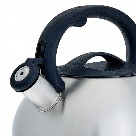 Чайник для плиты 3,0л нержавеющая сталь WEBBER ВЕ-0587 со свистком сатин 