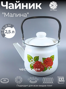 Чайник для плиты 2,5л 01-2711/4-Малина