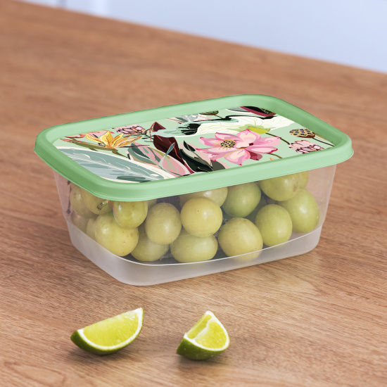 Контейнер для продуктов прямоугольный 1,5л с декором (зеленый) 222132218/08 Контейнер для продуктов прямоугольный 1,5л с декором (зеленый) 222132218/08