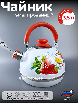 Чайник 3,5л(крас.мет.подвиж.руч) белый/клубника с ромашкой(нерж. сталь) инди. уп РTMM04/35/03/05/H13