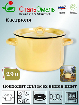 Кастрюля 2,9л цил. 2с16/1 без рис. крем. Кастрюля 2,9л цил. 2с16/1 без рис. крем.