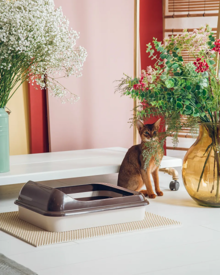 Лоток "Верный друг" с решеткой бежевый М6415 