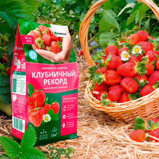 Удобрение комплексное 1кг Клубничный рекорд БИОМАСТЕР Удобрение комплексное 1кг Клубничный рекорд БИОМАСТЕР