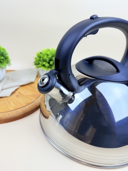 Чайник со свистком, черная ручка, 5,0 л. НМ 55247 Чайник со свистком, черная ручка, 5,0 л. НМ 55247