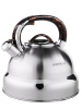 Чайник для плиты 4,8л нержавеющая сталь НМ 5586 со свистком 