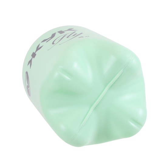 Опрыскиватель Жук fly 4л мятный