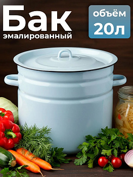 Бак 20л (02/20-2827) сер.-гол.