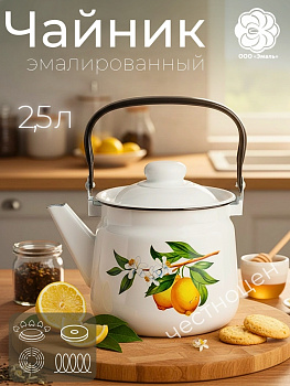 Чайник для плиты 2,5 л 01-2711/4 Лимоны