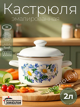 Кастрюля 2,0л С-1610АП2/4  Ромашковое поле