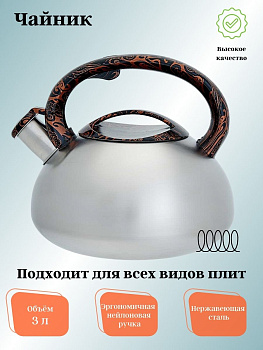 Чайник для плиты 3,0л нержавеющая сталь WEBBER ВЕ-0594 со свистком  сатин 