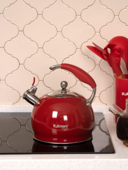 Чайник из нержавеющей стали, со свистком,3л,RED Ч-01