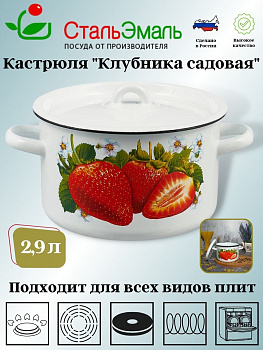 Кастрюля 2,9л цил. 1с16с/1 белосн. Клубника садовая Кастрюля 2,9л цил. 1с16с/1 белосн. Клубника садовая