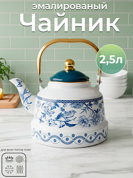 Чайник TK505-2.5L OLS-409-15