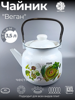 Чайник для плиты 3,5л 01-2713/4-Веган
