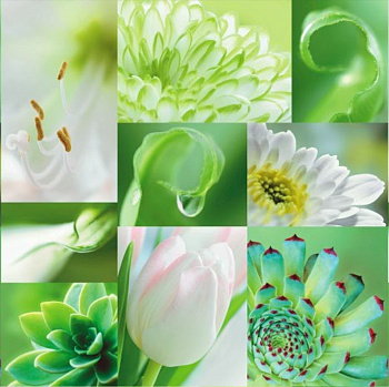 Клеенка Grace ткань с пвх покрытием 1,4*20м STG397