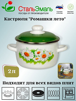 Кастрюля сф. 2 л. белосн. Ромашки лето 6RC161M
