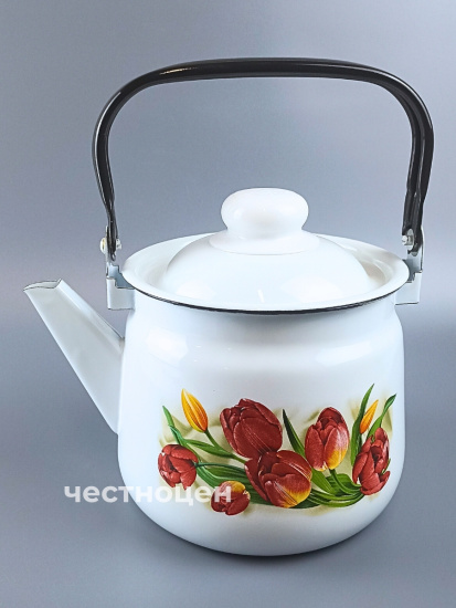 Чайник для плиты 2,5л 01-2711/4-Тюльпаны