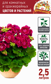 Грунт "ЦАРИЦА ЦВЕТОВ" для комнатных, оранжерейных и декоративных цветов и растений 2,5л Грунт "ЦАРИЦА ЦВЕТОВ" для комнатных, оранжерейных и декоративных цветов и растений 2,5л