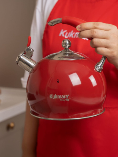 Чайник из нержавеющей стали, со свистком,3л,RED Ч-01