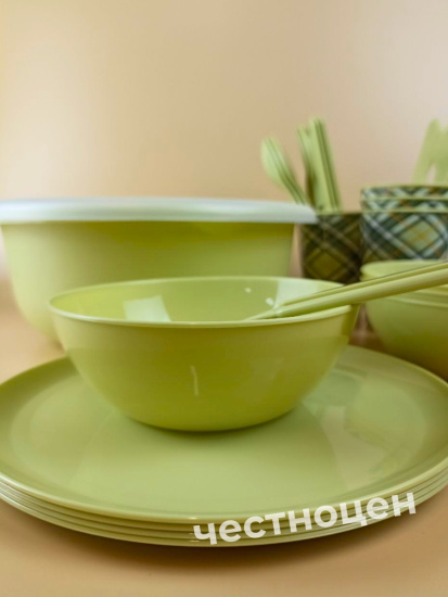 Набор для пикника с декором 25пр. на 4 персоны (салатовый) 221135520/04