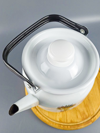 Чайник для плиты 3,5л С-2713П2/4Рч "Пикник"