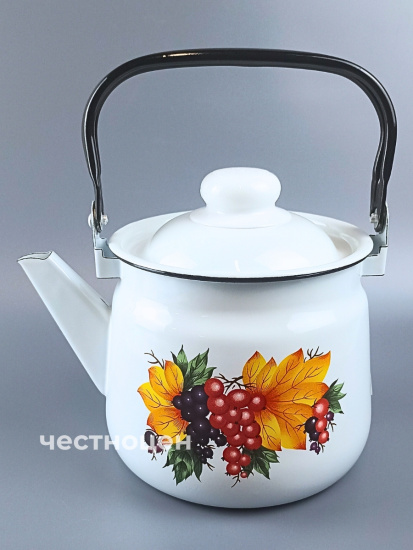 Чайник для плиты 2,5 л 01-2711/4-Смородина 