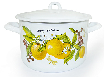 Кастрюля 4,3л С-16141/4Э  "Фруктовая фантазия" 