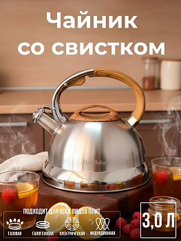 Чайник нерж. OLS-HR793-3