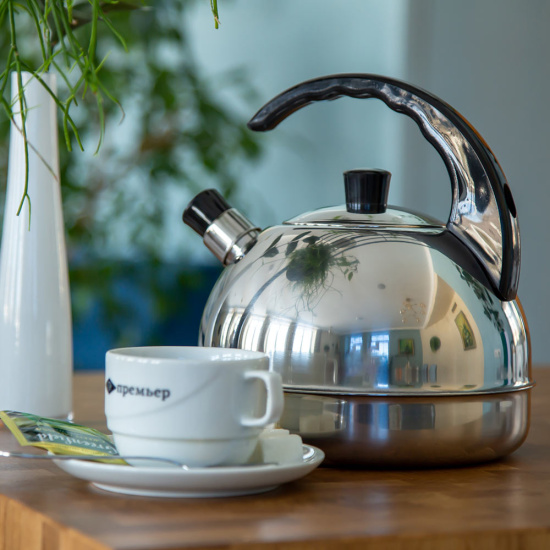 Чайник для плиты 3,0л 1с44 со свист. пл/ручк.