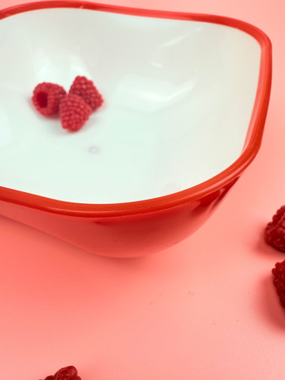 Миска пластиковая 800мл (цвет микс) OLS-179-21