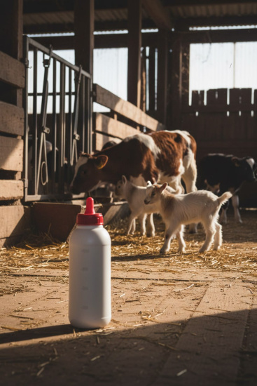 Поилка для животных с соской, бутылка 1л 