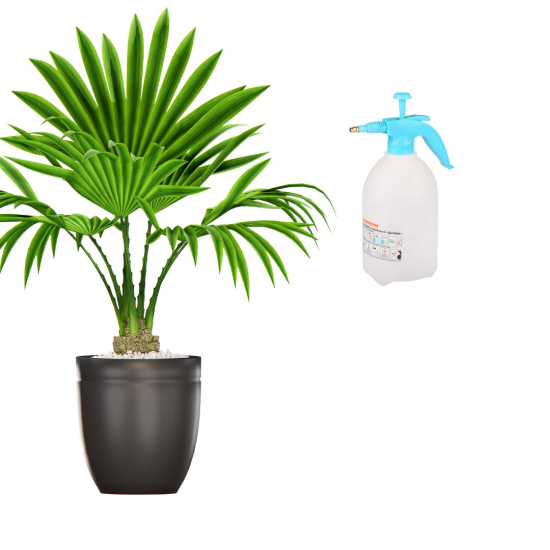 Опрыскиватель 3л "Дачник" помповый М7479