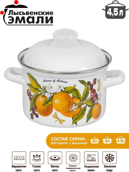 Кастрюля 4,5л 16154 АП2 "Фруктовая фантазия"