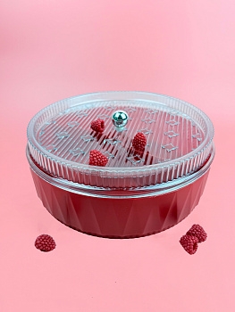 Менажница с крышкой 25см (пластик) цвет микс OLS-033А-9