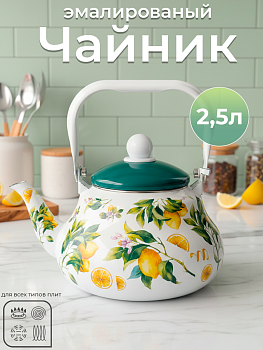 Чайник TK121-2.5л OLS-409-14